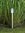 Luxform Lighting Garden Post Light – Wyndham 3 Set 10metre